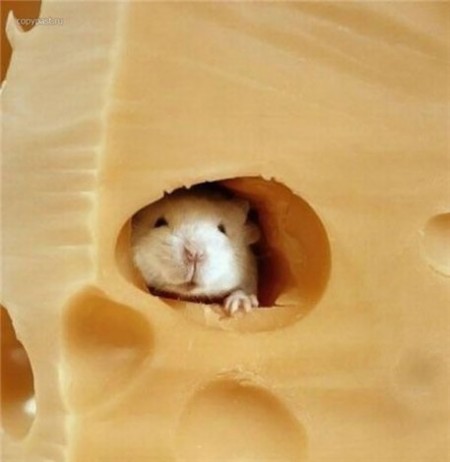 «СОГАЗ» в Вологодской области застраховал имущество агропромышленного комбината