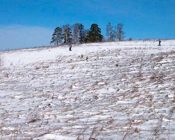 «Югория» осуществила выплату хозяйству в Орловской области
