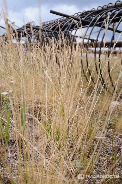 СК «РОСНО» выплатила более 318,7 млн. рублей по договорам агрострахования в 2010 году