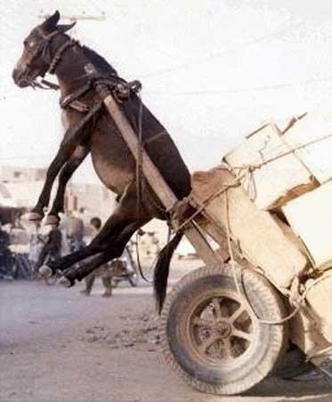 Cпециалисты СК «Альянс» указали на незаконность сложившейся практики страхования 