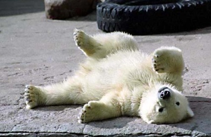 СГ «Межрегионгарант» выплатила 3,8 млн рублей за уничтожение части застрахованного груза 