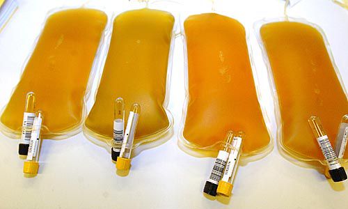 ОАО РСТК застраховало донорскую плазму на сумму более 672 млн рублей