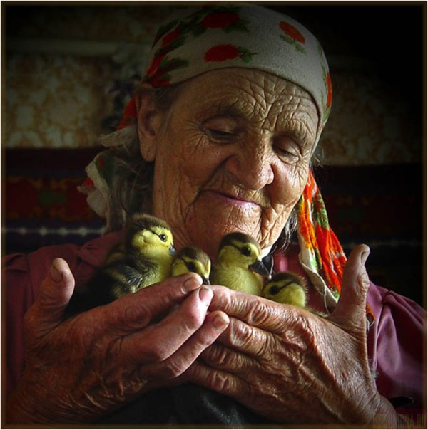 СК «Согласие» застрахует автомобили Отделения Пенсионного фонда России по Кемеровской области