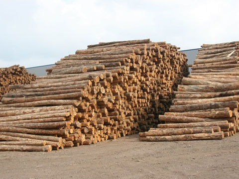 РОСГОССТРАХ в Астраханской области застраховал товарные запасы на сумму 270 млн рублей