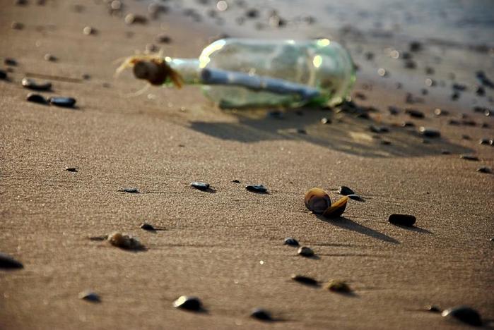 «Росгосстрах» возобновил договор перестрахования по рискам ответственности судовладельцев (P&I) с лимитом 50 млн долларов США