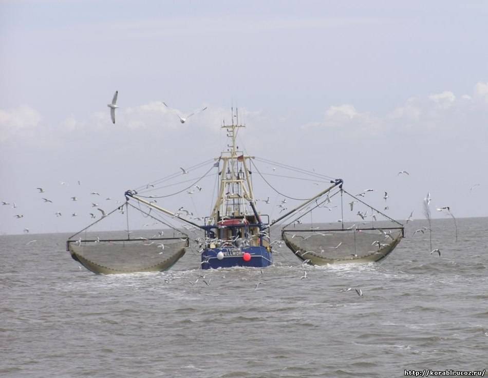 СОГАЗ в Приморском крае застраховал рыболовное судно на 60 млн рублей