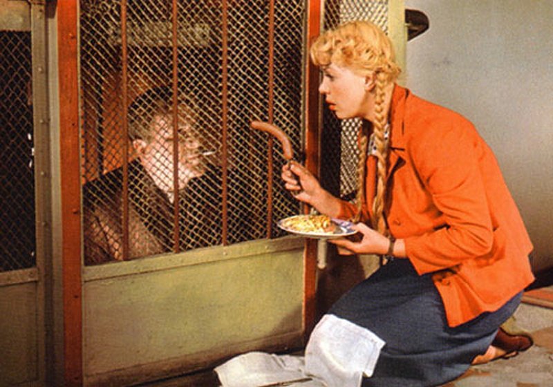 «МАКС» В Москве застраховал ответственность ДЕЗ района Сокол при эксплуатации лифтов