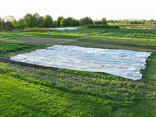 «Ингосстрах» застраховал урожай ООО «Калининское»