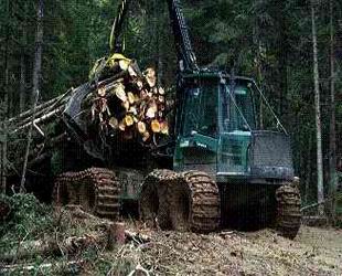 СОГАЗ в Красноярске застраховал имущество лесопромышленного предприятия