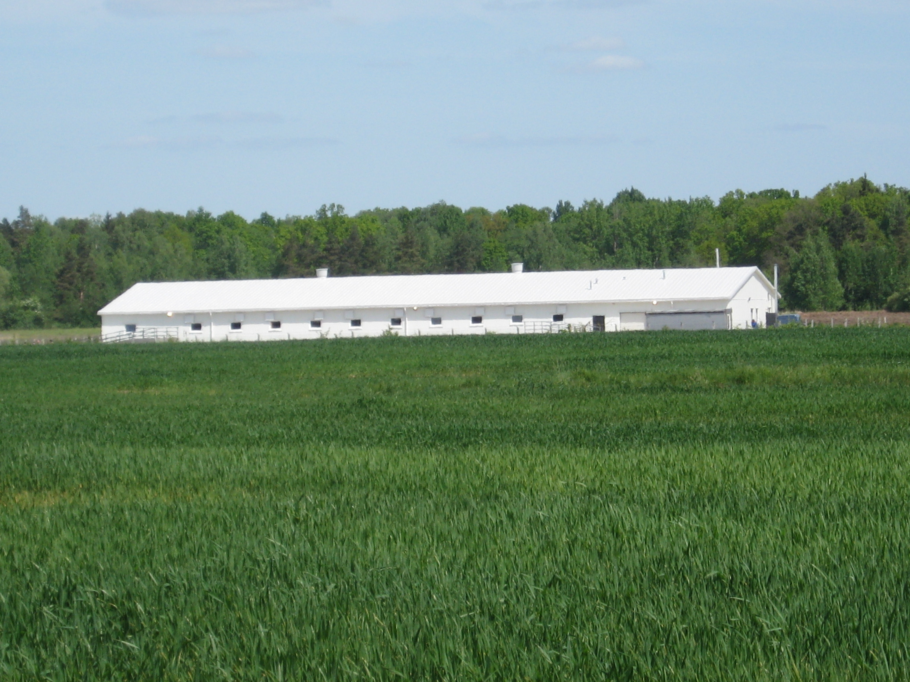 "Росгосстрах" в Калининграде застраховал имущество сельхозпроизводителя на 1,5 млрд рублей