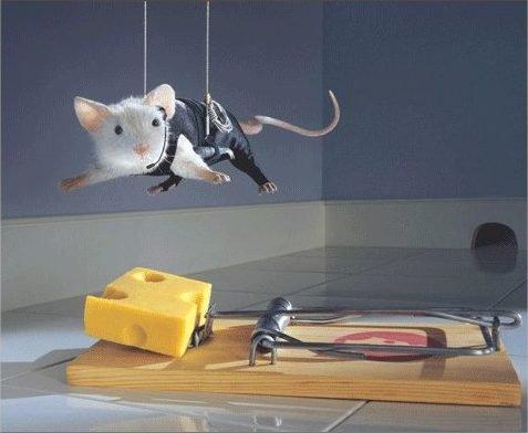 Сотрудники  ООО  «Техноклимата» г. Тулы под защитой ОРАНТА Страхование