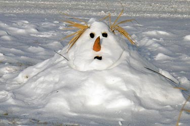 «Югория» – партнер Дня Снеговика