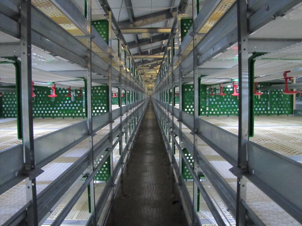 СГ «СОГАЗ» застраховала оборудование Вельской птицефабрики на 91 млн рублей