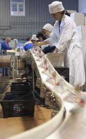 Ростовский филиал ГСК «Югория» застраховал молокозавод