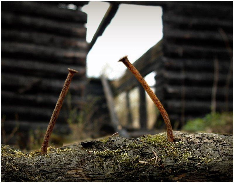 Росгосстрах урегулирует убытки пострадавших от крупных пожаров в Амурской области