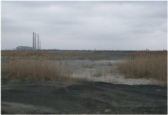 СК «Альянс» застраховала опасные объекты Архангельского целлюлозно-бумажного комбината