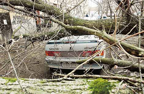 «Ингосстрах» ждет заявлений от пострадавших от урагана жителей Екатеринбурга