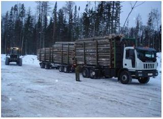 Советский филиал ГСК «Югория» застраховал лесопильные заводы Югры