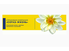 Красноярский филиал «СОГАЗ застраховал ООО «Сибстройком» на 141,2 млн. руб.