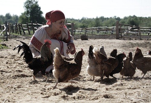 СОГАЗ в Ленинградской области обеспечил ДМС 1,9 тыс. работников птицефабрики