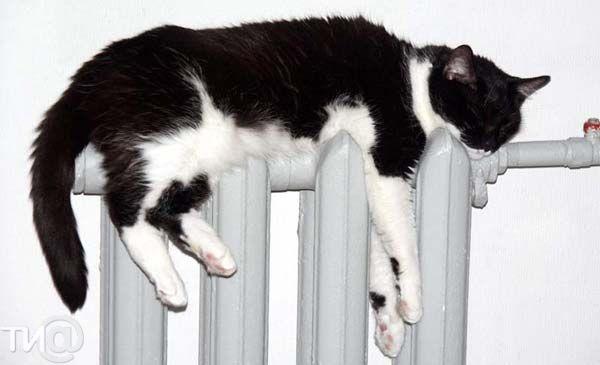 СК «Согласие» застрахует по ОПО МУП «Вологдагортеплосеть»