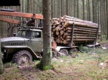 ГСК «Югория» застраховала лесовозы Югорского лесопромышленного холдинга