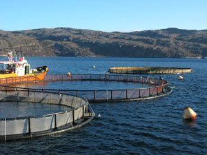 «СОГАЗ-АГРО» в Мурманской области застраховал ЗАО «Русский Лосось»