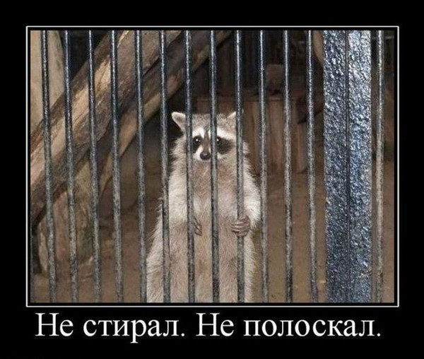 ОСАО «Россия» в Екатеринбурге инициировало возбуждение уголовного дела в отношении судебного пристава