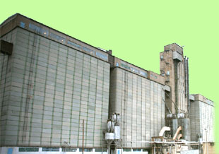 Компания «ГУТА-Страхование» застраховала ЗАО «Сорочинский Комбинат Хлебопродуктов»