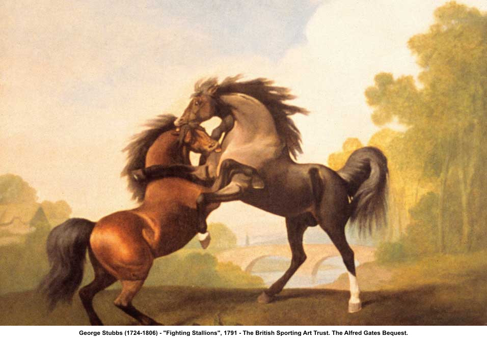 «Альянс» в ответе за тех, кого Вы приручили