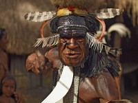 Об исковом заявлении багамской компании Sual Partners Ltd