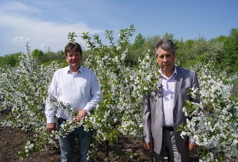 «Югория» в Белгороде застраховала Корочанский плодопитомник