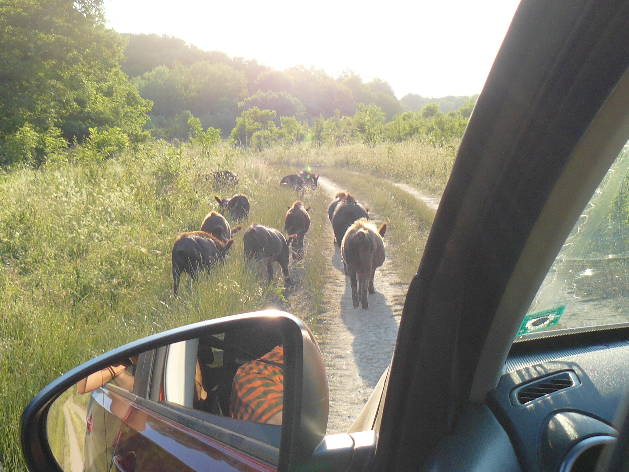 СК «Согласие» обеспечит ОСАГО Управление Федеральной службы государственной регистрации, кадастра и картографии по Омской области