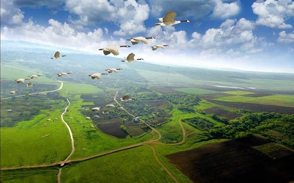 СОГАЗ во Владивостоке переехал в новый офис