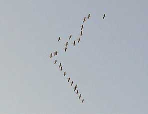 Сургутский филиал переехал в новый офис