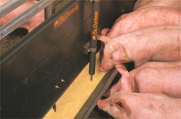 СОГАЗ застраховал имущество ООО «Тамбовмясопром» на 405 млн рублей