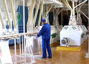 ЗАО «ГУТА-Страхование» застраховало мельницу на 37 млн рублей