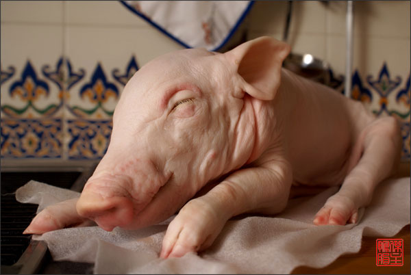 СОГАЗ в Липецкой области застраховал дочернее предприятие Группы «Черкизово» на 429 млн рублей