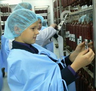 СОГАЗ в Челябинске застраховал «Завод углеродных и композиционных материалов»