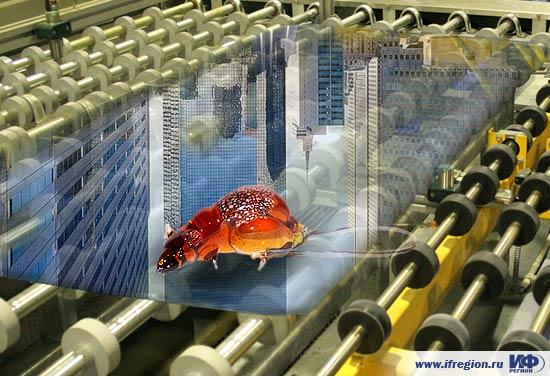 РОСГОССТРАХ в Вологодской области застраховал имущество стеклозавода на сумму 245 млн рублей