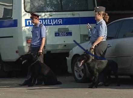 «Югория» застраховала транспорт советской полиции