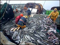 СОГАЗ в Мурманске застраховал рыболовное судно на 25 млн рублей