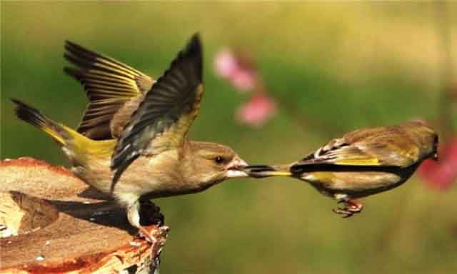 Клиентский офис ОСАО «Россия» в г. Тольятти переехал в новый офис