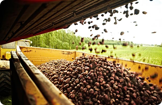 САО «Экспресс Гарант» обеспечит страховой защитой ООО «УралАЛКО» (г. Екатеринбург) 