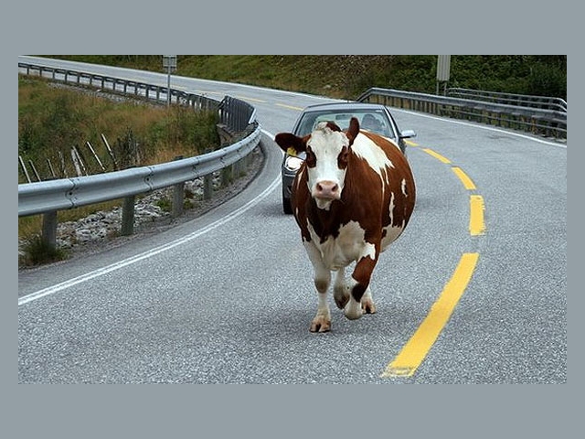 СК «Согласие» заключила облигаторный договор перестрахования